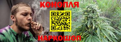 шишки Бузулук